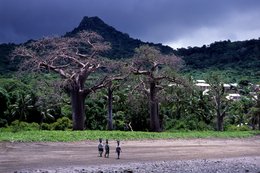 Archipel-des-Comores;-Baobab;-Enfants;-France;-Kaleidos;-Kaleidos-images;-La-parole-à-limage;-Laurent-Abad;-Mayotte;-Océan-Indien;-Pic;-Plage;-Portage-sur-la-tête;-Sable-noir;-Stories-Pictures;-Vie-quotidienne